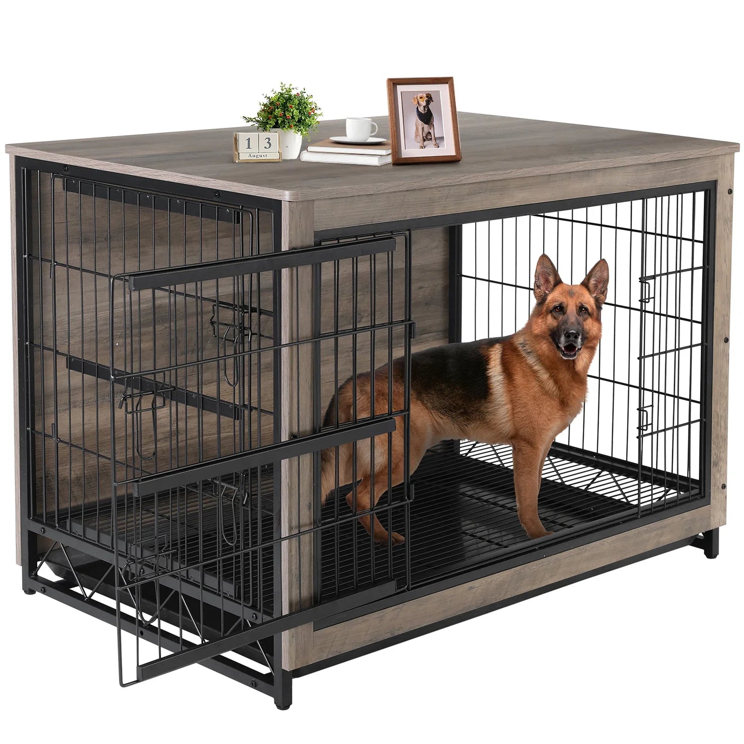 Dog Kennel