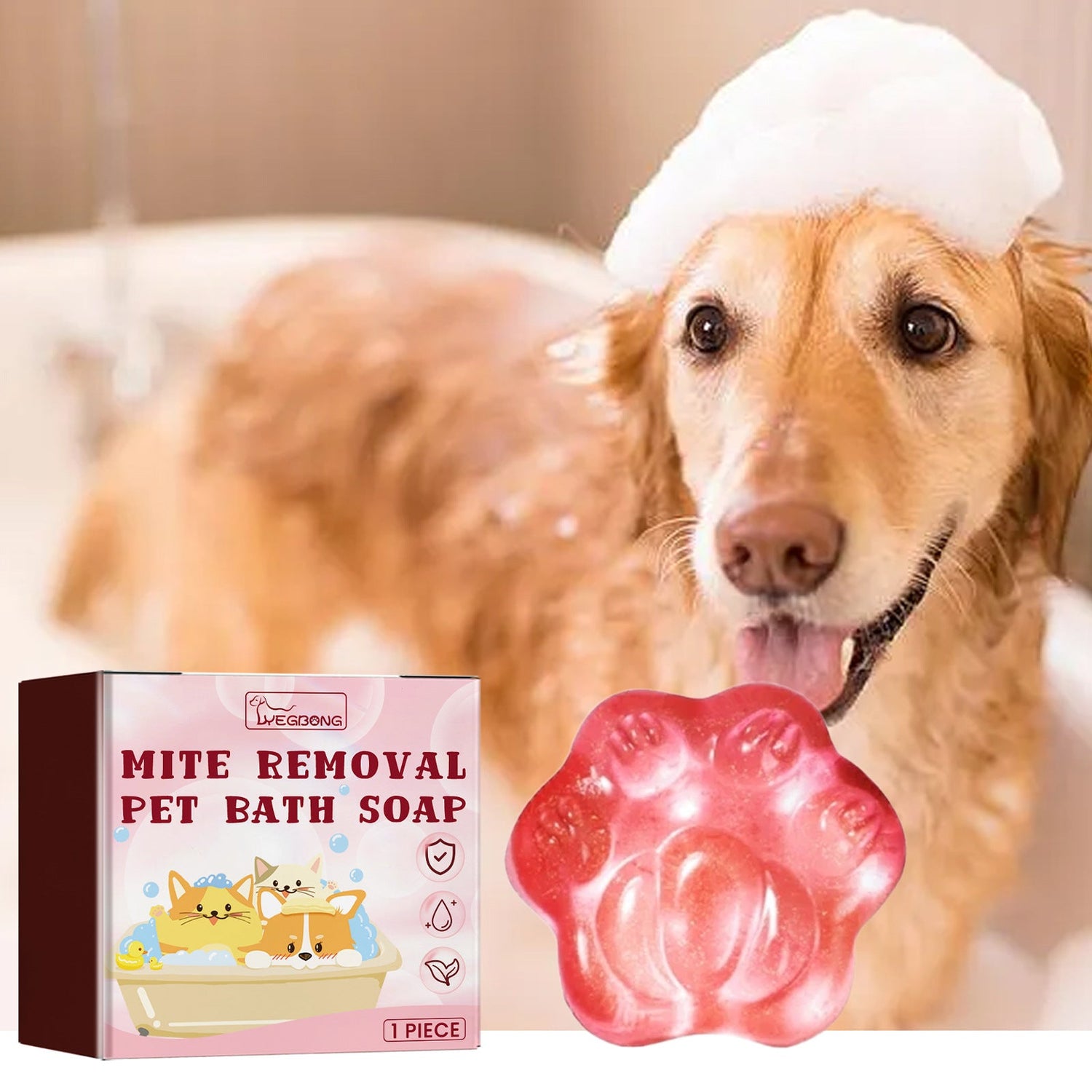 Soap & Shampoo