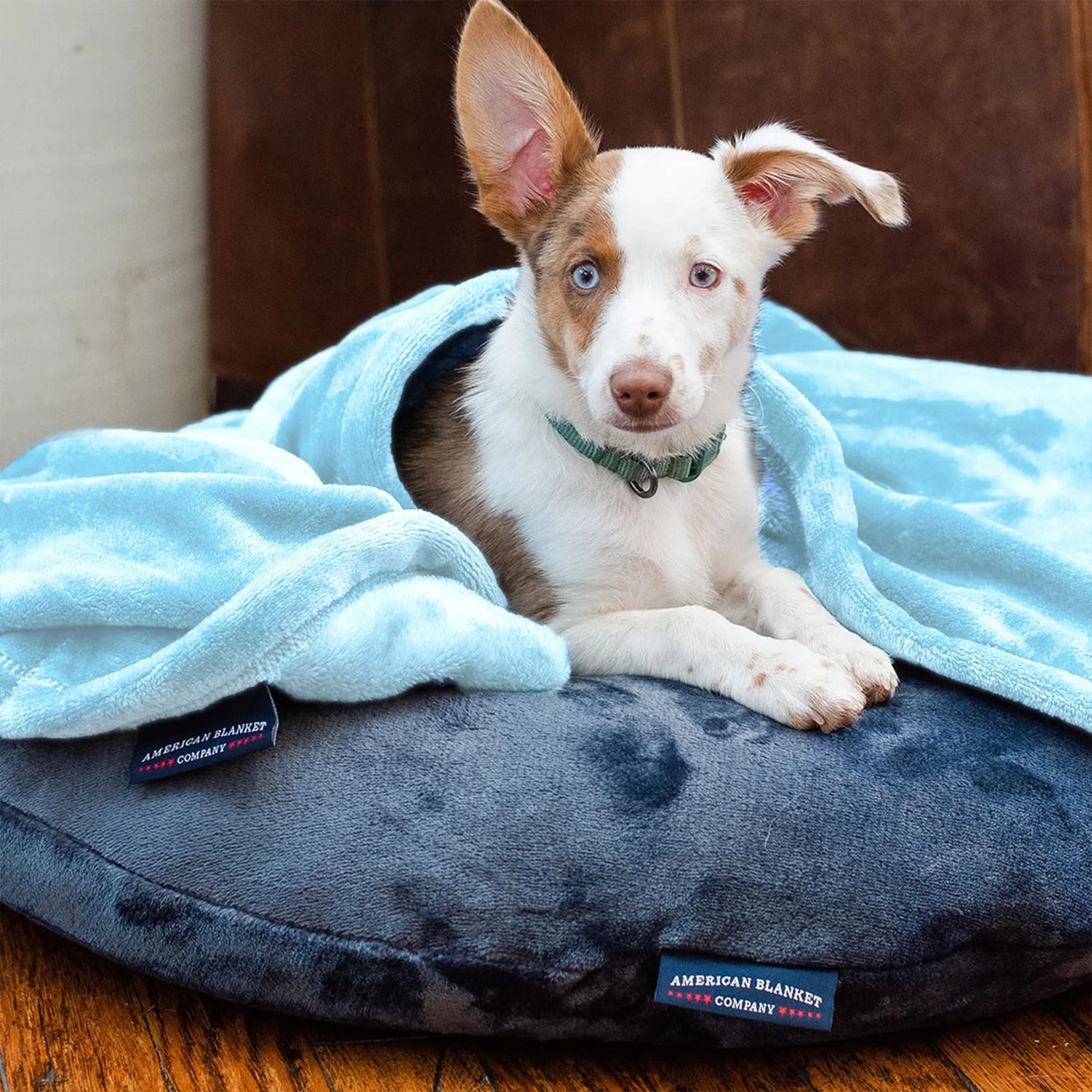 Pet Beds